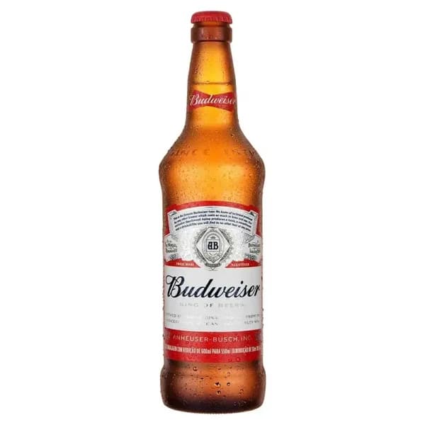 Cerveja Budweiser Long Neck 330ml
